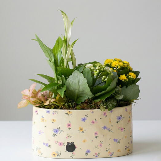 Composicion de plantas easter