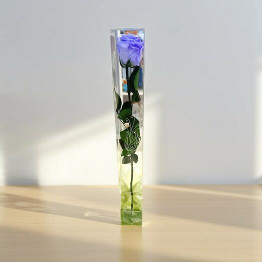 Rosa Eterna Lila Larga – Encanto que perdura
