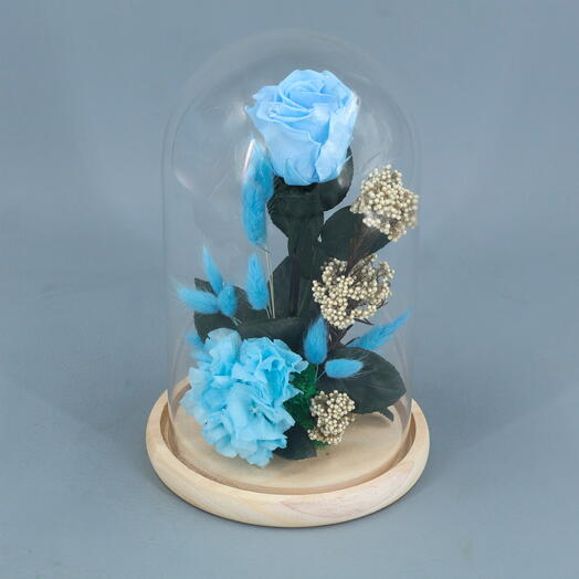 Rosa preservada azul en cupula de cristal