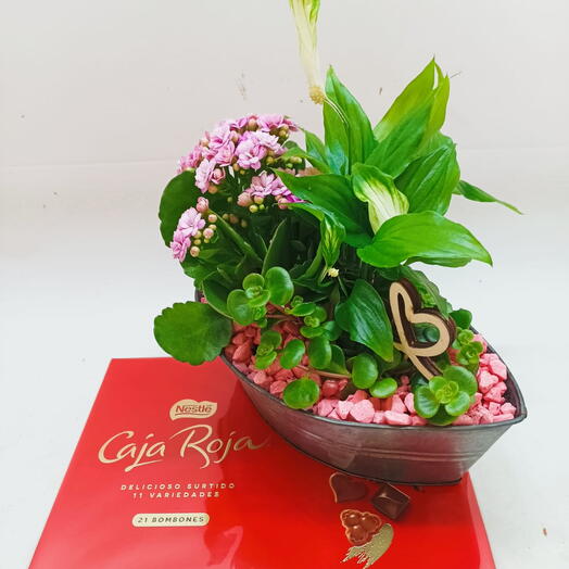 Nestle chocolates and plant with metal base