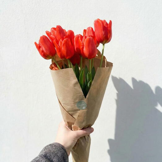 Красивые тюльпаны