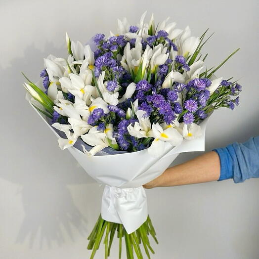 Ramo 50 Iris Blancos y estatice– Bouquet Fresco en Blanco y Violeta