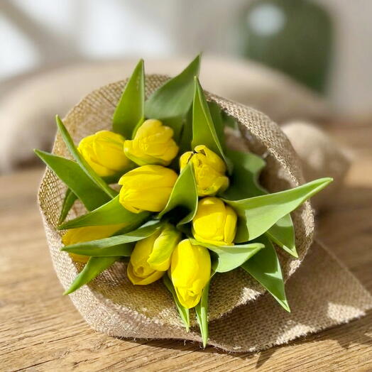 8 Tulipanes Amarillos