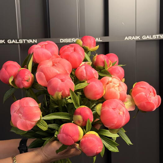 Bouquet of pink peonies