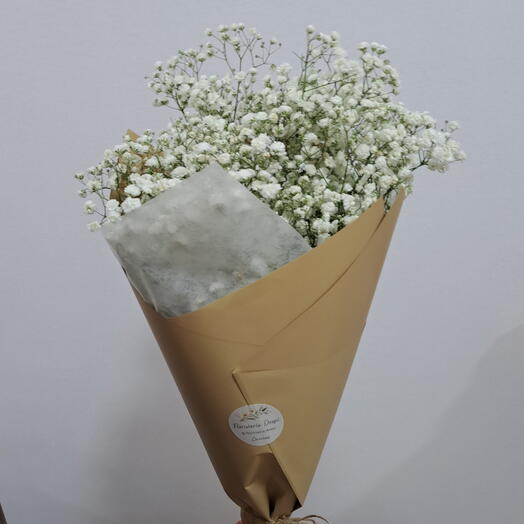 Paniculata