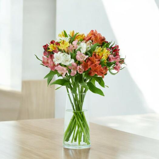 Bouquet of Alstroemerias Alegrias