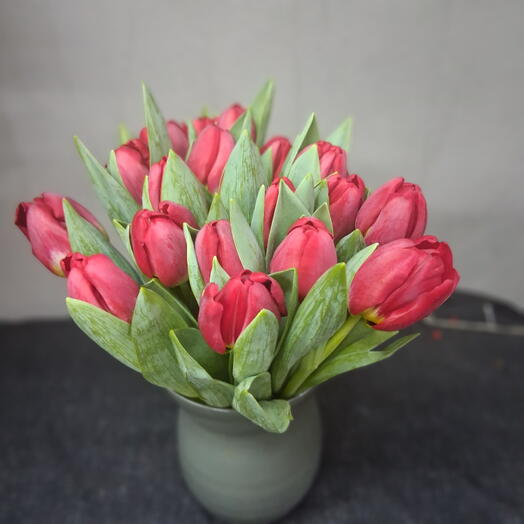 Tulipanes rojas