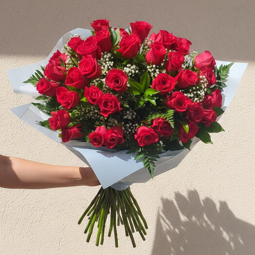 Rosas Rojas Rojas tallo largo