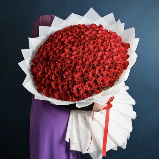 300 rosas Dia de la mujer