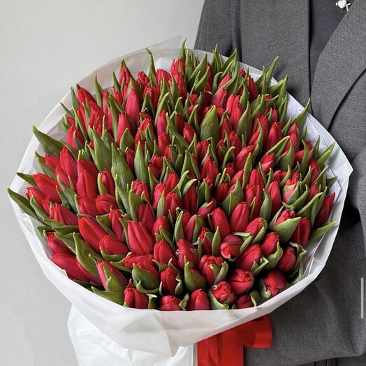 Tulipanes rojos ️