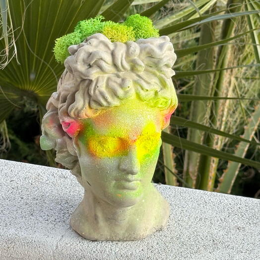 Busto de Appalo con musgo/ maceta/ organizador