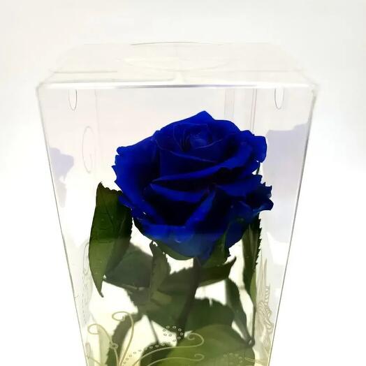 Rosa Eterna Azul Larga – La Elegancia Infinita de Artifresia Floristas