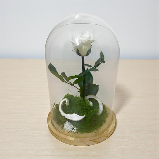 Rosa Preservada Blanca en Cupula Amor Puro