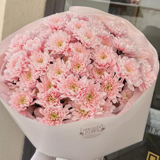 Nube Rosa