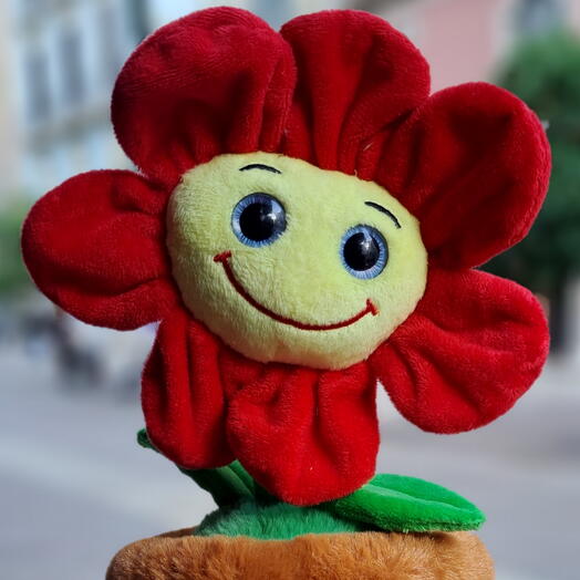 Floresilla  peluche 😍