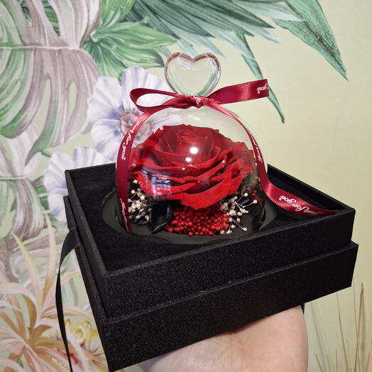 Rosa eterna de jardin, cupula cristal, Caja de lujo