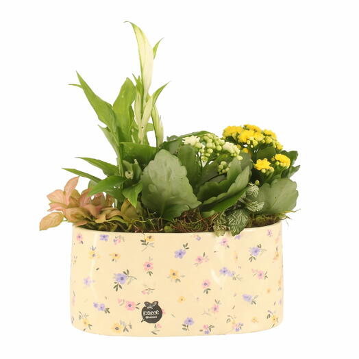 Easter plant arrangement