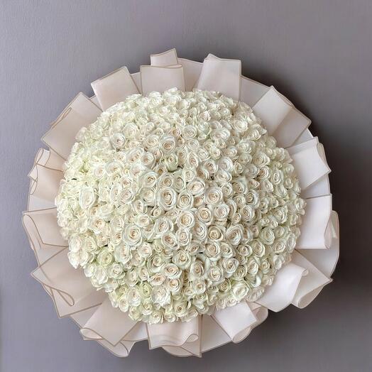 Ramo Gigante de 350 Rosas Blancas