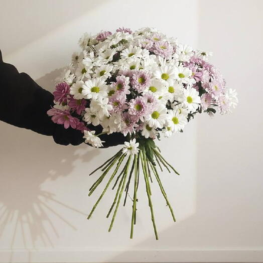 Ramo Redondo de 25 Crisantemos Margarita Blanco y Lila