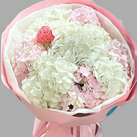 Hortensias claras