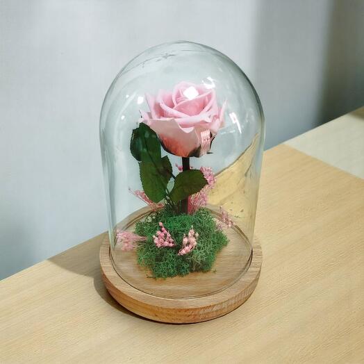 Cloche avec rose éternelle de la couleur que tu veux