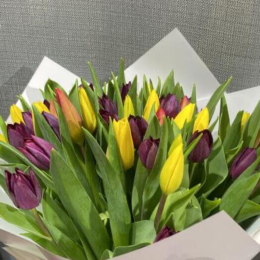 Разноцветные тюльпаны