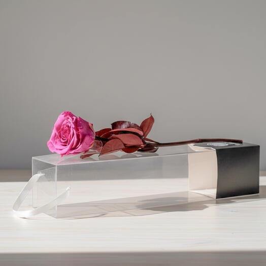 Rosa eterna maquillaje 💄