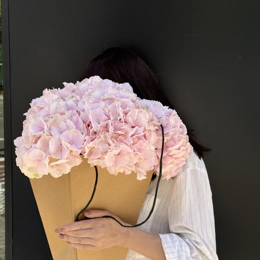 5 Hortensias Rosadas - Sueño Floral