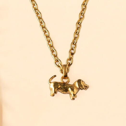 Ошейник TECKEL