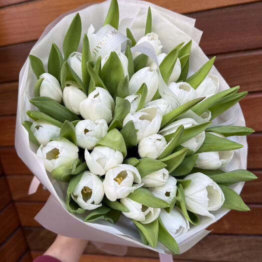 Белый тюльпан, 31 шт.