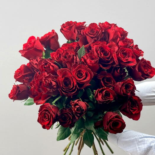 51 Rosa roja 70 cm Premium
