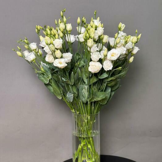 Lisianthus blancas