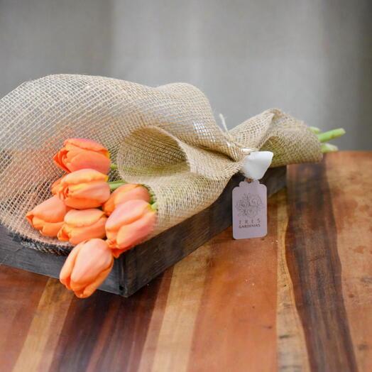 Pack de 8 Tulipanes Naranja