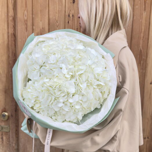Ramo de hortensias blancas