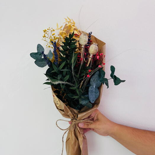 Природне Поле