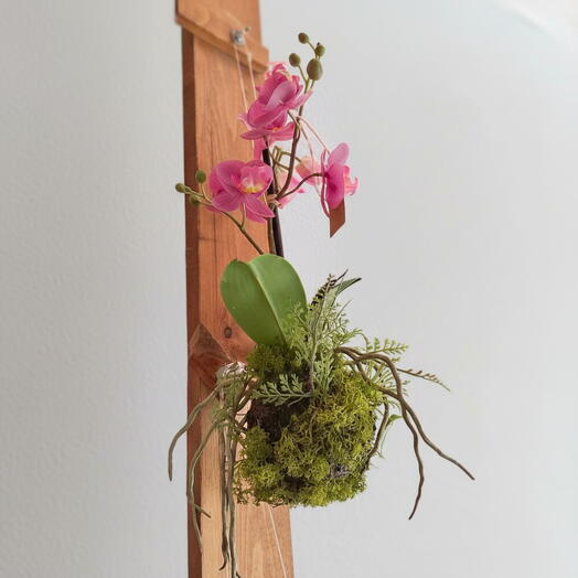 Kokedama orquidea sintetica