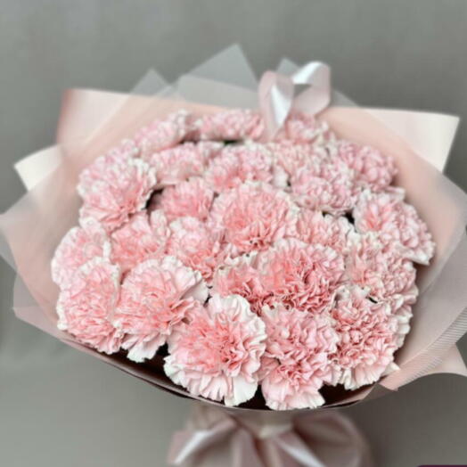 Букет из 18 розовых гвоздик