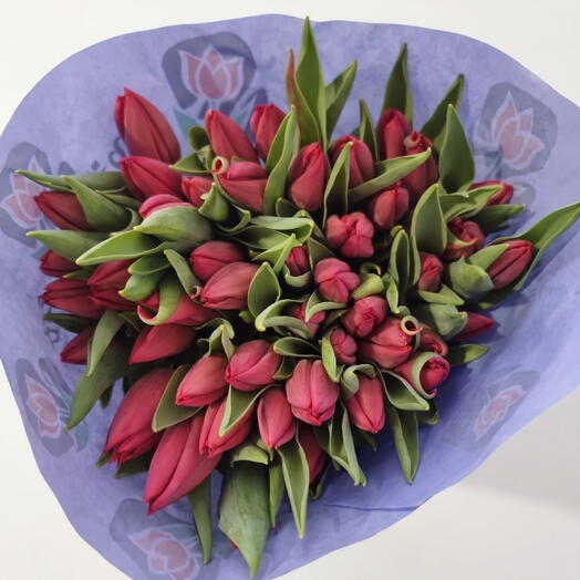 Tulipanes