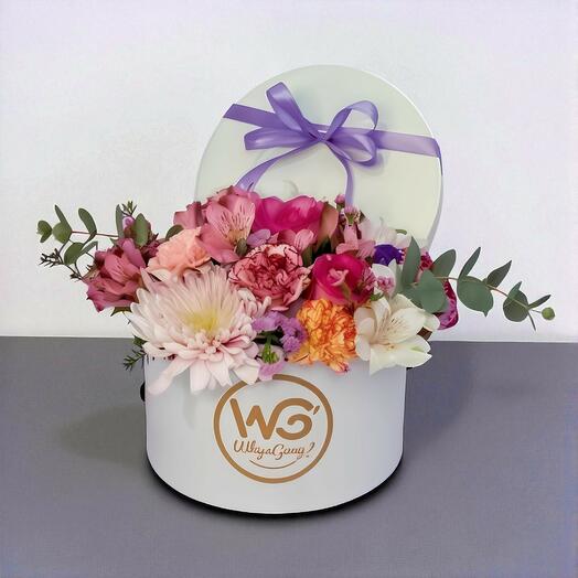 Encanto Pastel