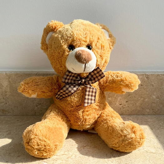 Oso de peluche Carlitos Marron