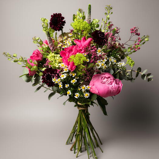 Dia de la Madre Fucsia