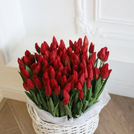 Cesta 70 tulipanes rojos
