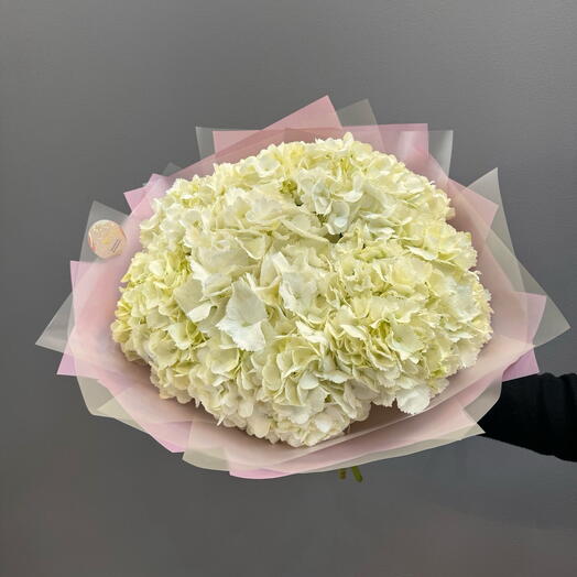 Ramo de 9 hortensia blancas