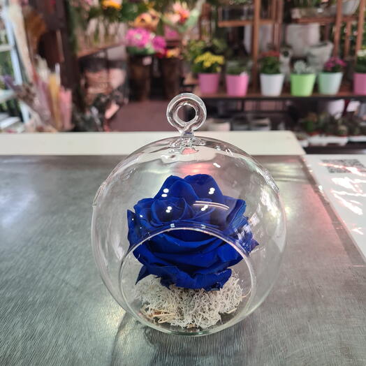 Rosa Azul Eterna en Globo de Cristal