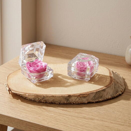 2 Rosas preservadas en tonalidad rosa