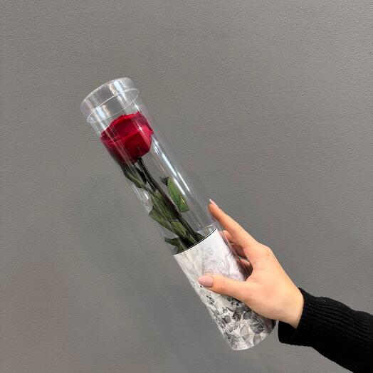 Rosa preservada (pequeña) roja