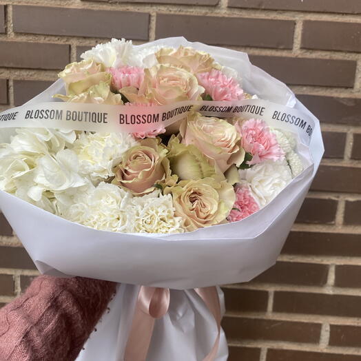 Coquette Rose   Puppy Love 🎀