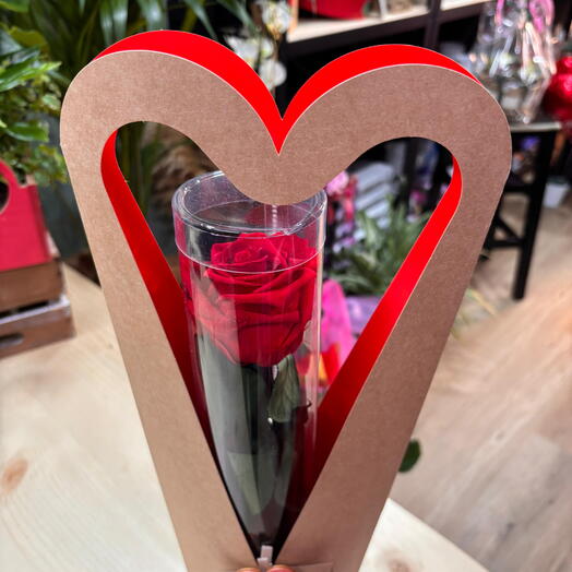 Вічна троянда