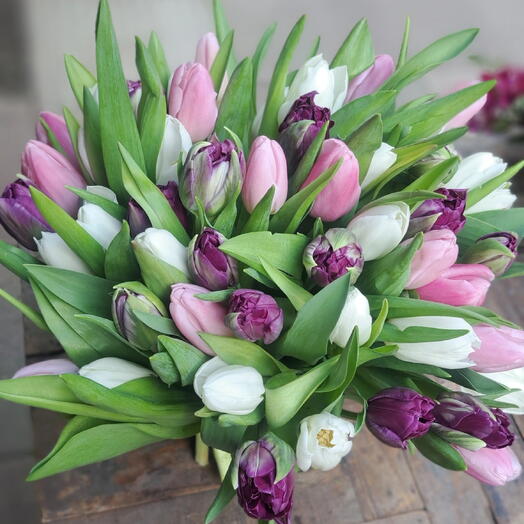 Armonía Púrpura 💜