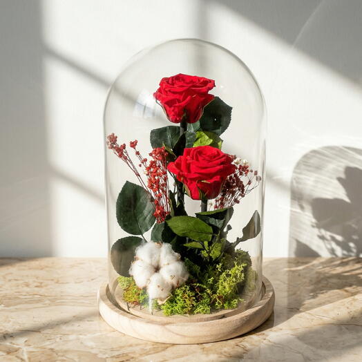 Cupula de Rosas Preservadas – Elegante Rosa Eterna en Campana de Cristal Decorativa
